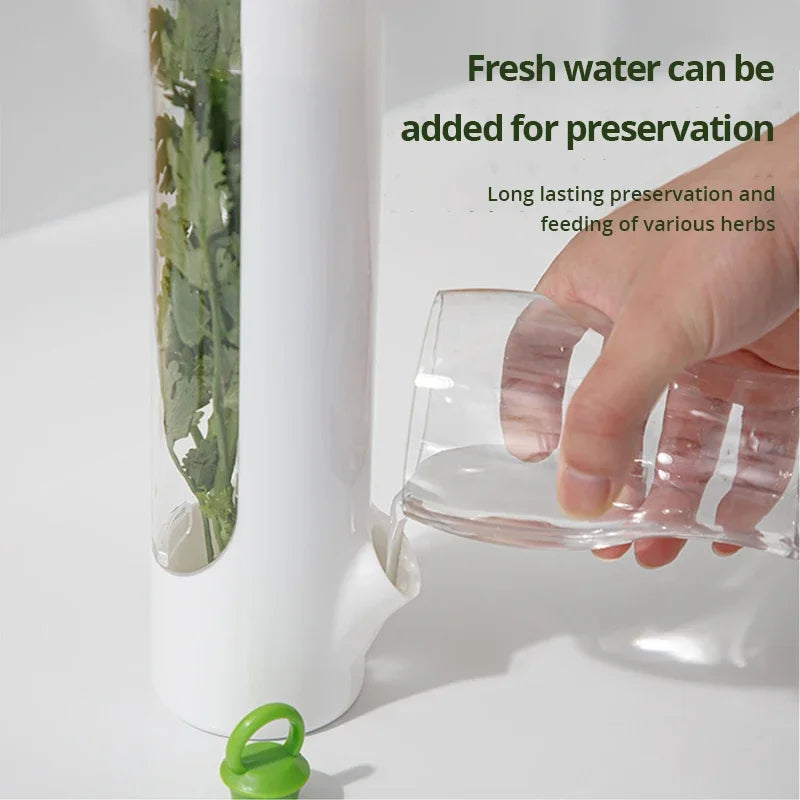 Bouteille de conservation écologique